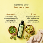 Load image into Gallery viewer, Kesavardhini Aloe Vera Amla Oil - 200 ML
