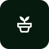 Pure Aloe